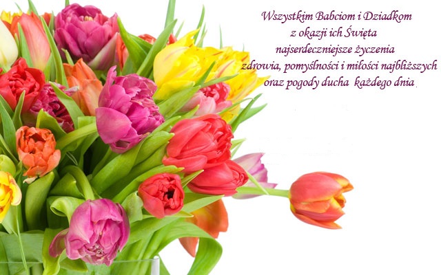 Kartka z tulipanami i życzeniami na Dzień Babci i Dziadka